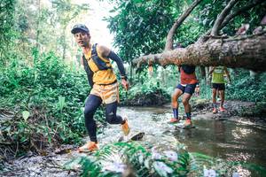 BIB: 
                            <button type="button" onclick="openModal(25435993)" class="btn btn-primary btn-sm float-right btn-popup" data-toggle="modal" data-target=".modal-high-quality">
                        <i class="fas fa-shopping-cart"></i> Add to Cart
                    </button>
                                            <button type="button" onclick="isThisMe(25435993, true)" class="btn btn-success btn-sm float-right btn-popup btn-isme hidden" data-toggle="tooltip" data-placement="bottom" title="นี่คือรูปของคุณใช่ไหม คลิกที่นี่เพื่อเอาเข้าอัลบั้ม">
                        <i class="fas fa-plus"></i> Add to album
                    </button>
                    <button type="button" onclick="isThisMe(25435993, false)" class="btn btn-warning btn-sm float-right btn-popup btn-isnotme hidden">
                        <i class="fas fa-ban"></i> Remove from album
                    </button>